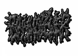 Brainspewer : Medicinal Melodies for Butyric Fermentation Brainspewer : Medicinal Melodies for Butyric Fermentation